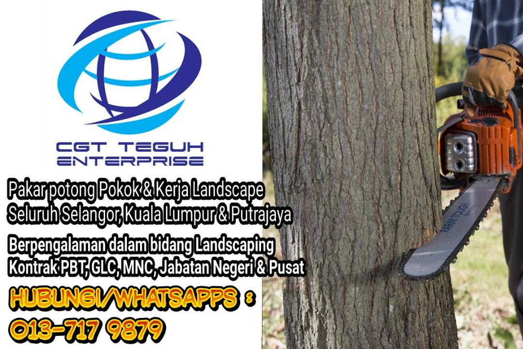 Cgt Tebang Potong Pokok Tree Cutting Landscaping Shah Alam