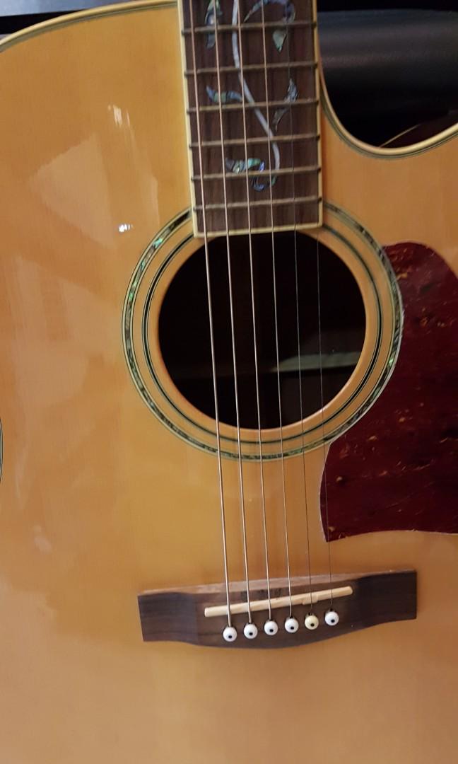 ibanez tree of life acoustic guitar