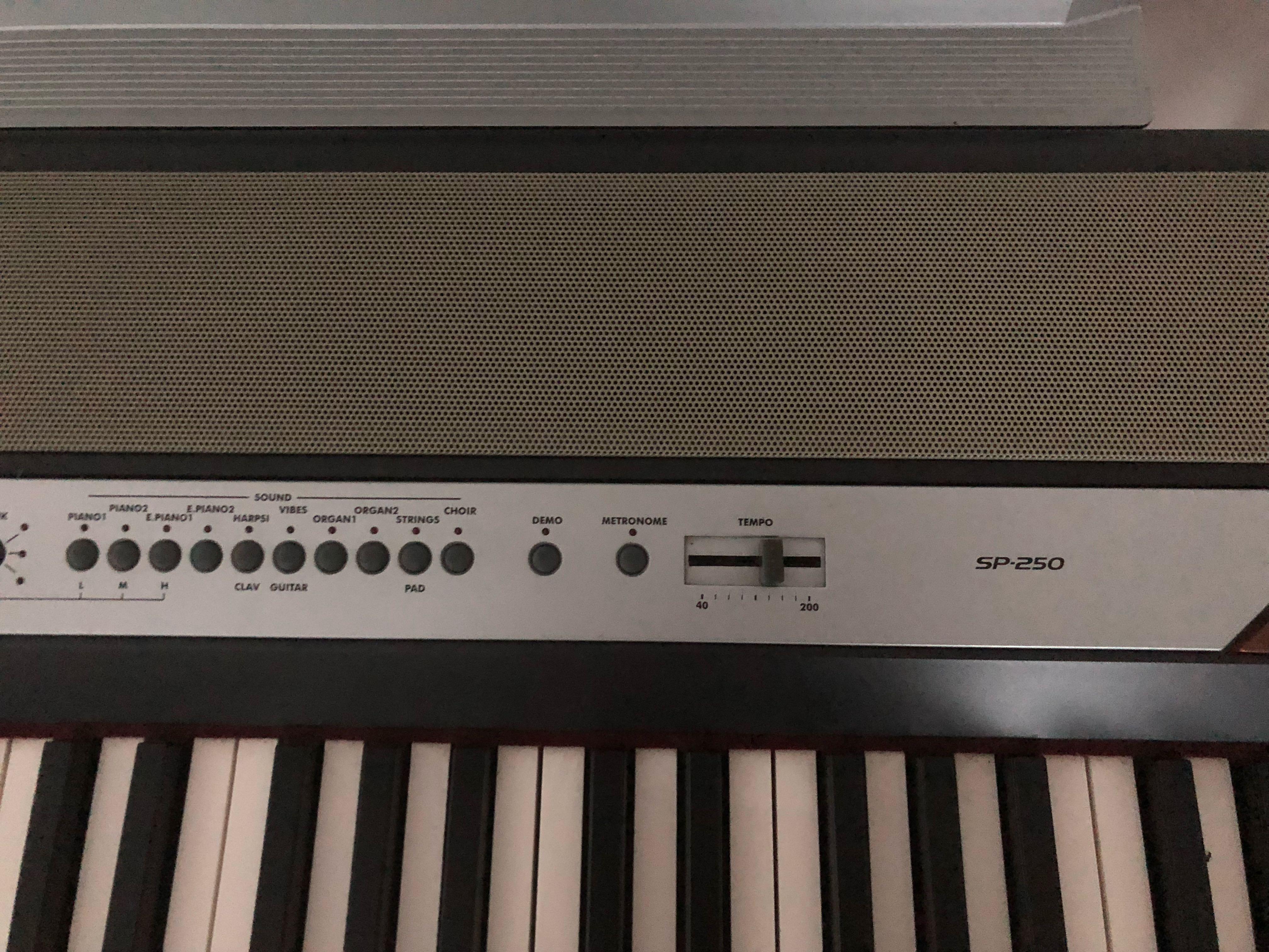 SP250 digital piano, 興趣及遊戲, 音樂、樂器 & 配件, 樂器 Carousell