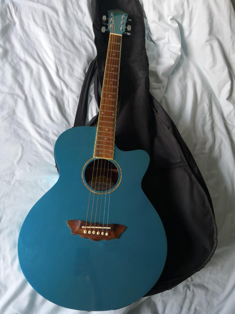 Washburn ea16 shop