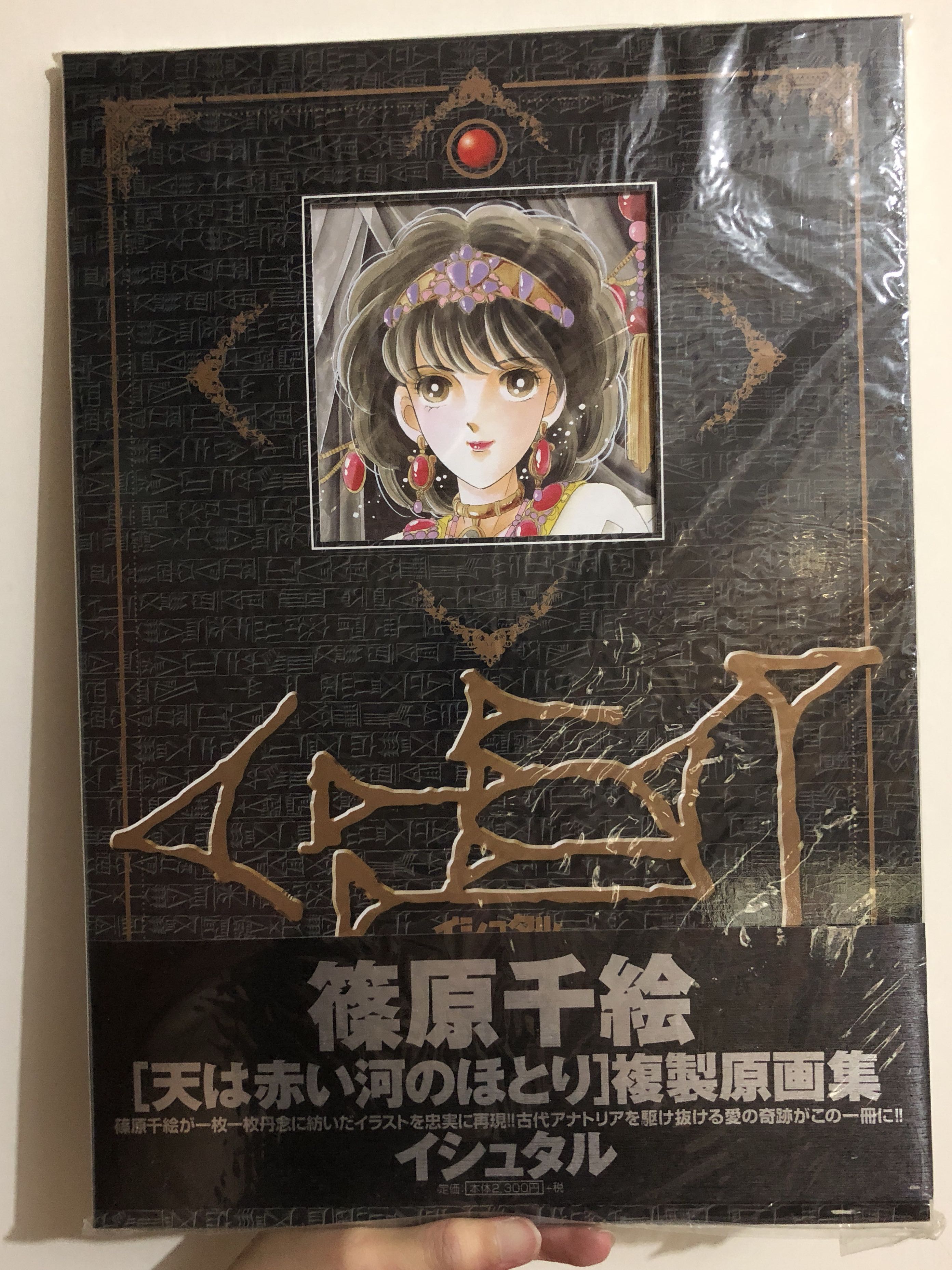 夢の雫、黄金の鳥籠 天は赤い河のほとり 全巻セット まとめ売り 夢の雫、黄金の鳥籠 天は赤い河のほとり 全巻セット まとめ