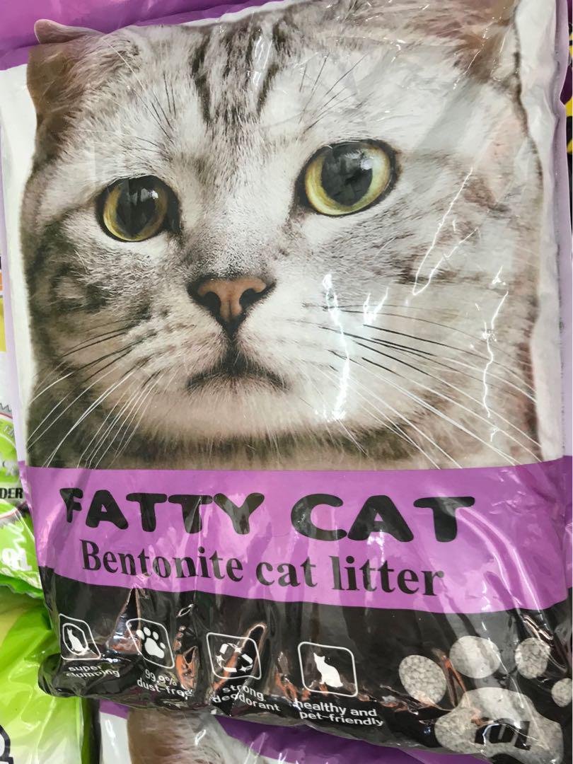Fatty cat cat litter