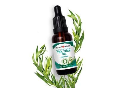 Human Nature Tea Tree Oil 30 ml (Category: Plants & Seeds) located in Quezon City. Submitted by sunnyseven7 (Listing ID 185810356, Image 1). Description: 100% Natural Recommended for: safe, natural cleansing for the skin and home Purifying remedy Tea tree helps ease fungal skin concerns, cut down on acne and deal with body odor. Safer cleansing A natural germ, mold and mildew fighter, tea tree is an effective household alternative to harsh disinf