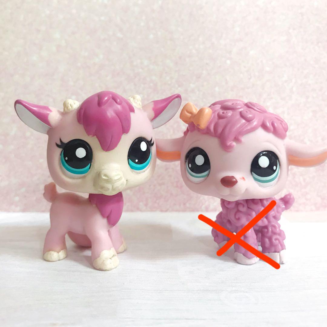littlest pet shop lamb