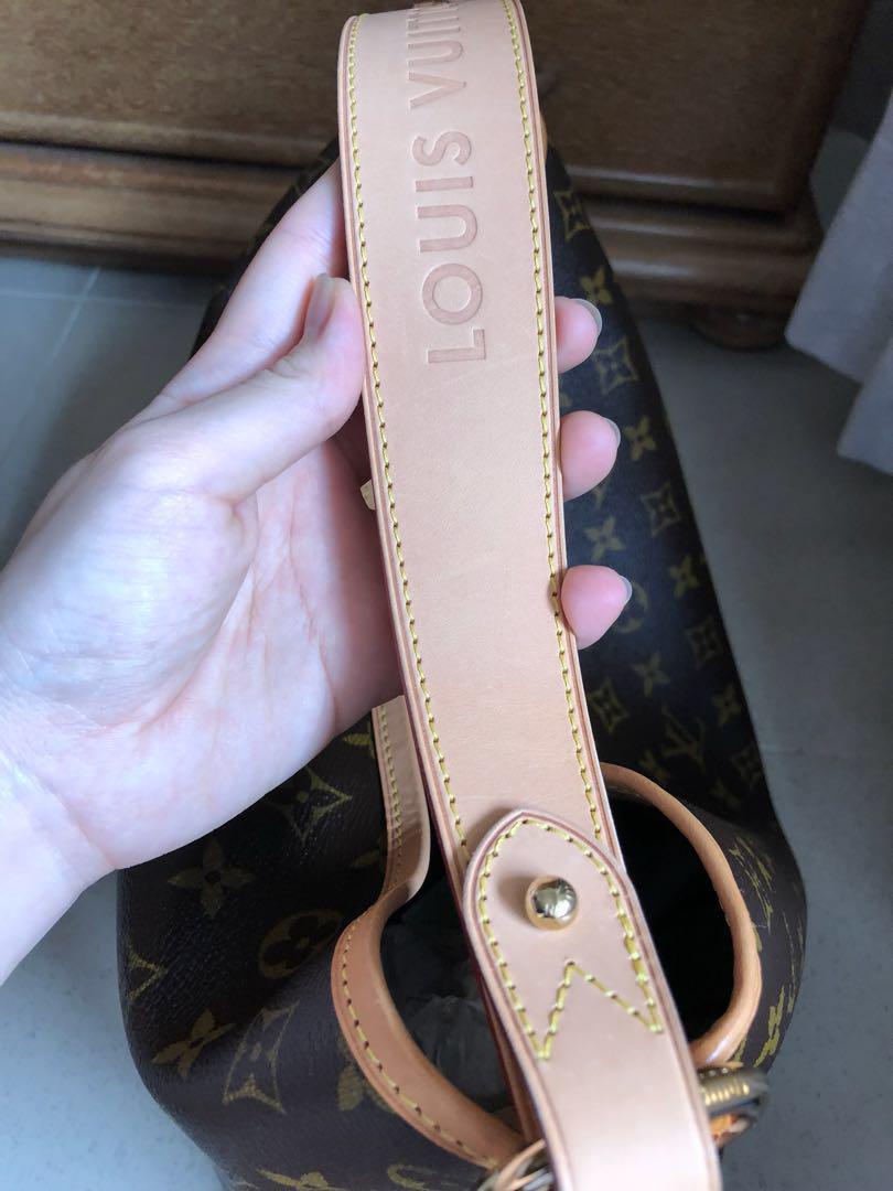 My LV Collection: Louis Vuitton Delightful MM, Odeon PM, and Insolite Coin  Pur…  Louis vuitton bag neverfull, Louis vuitton delightful mm, Louis  vuitton delightful