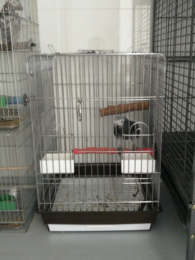 Preloved parrot cages hot sale