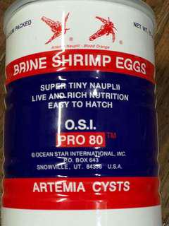 Brine Shrimp Eggs (BBS)