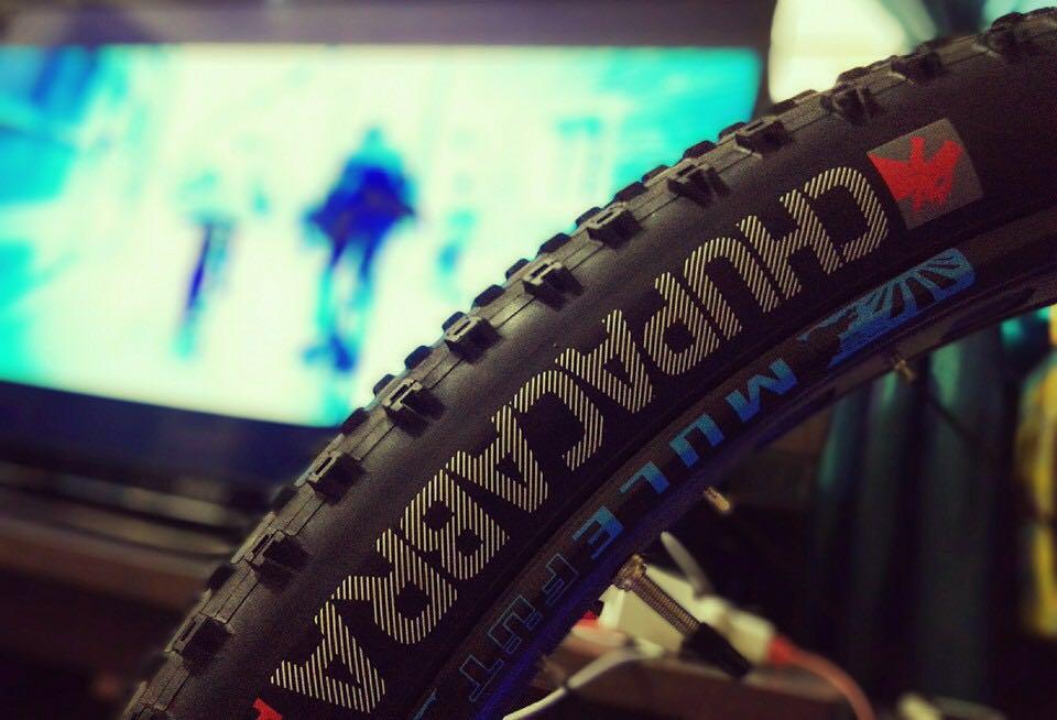 Bontrager clearance chupacabra 29