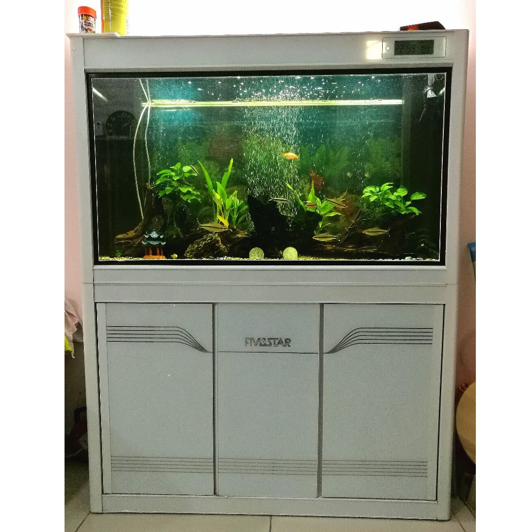 Five star fish tank cheap price