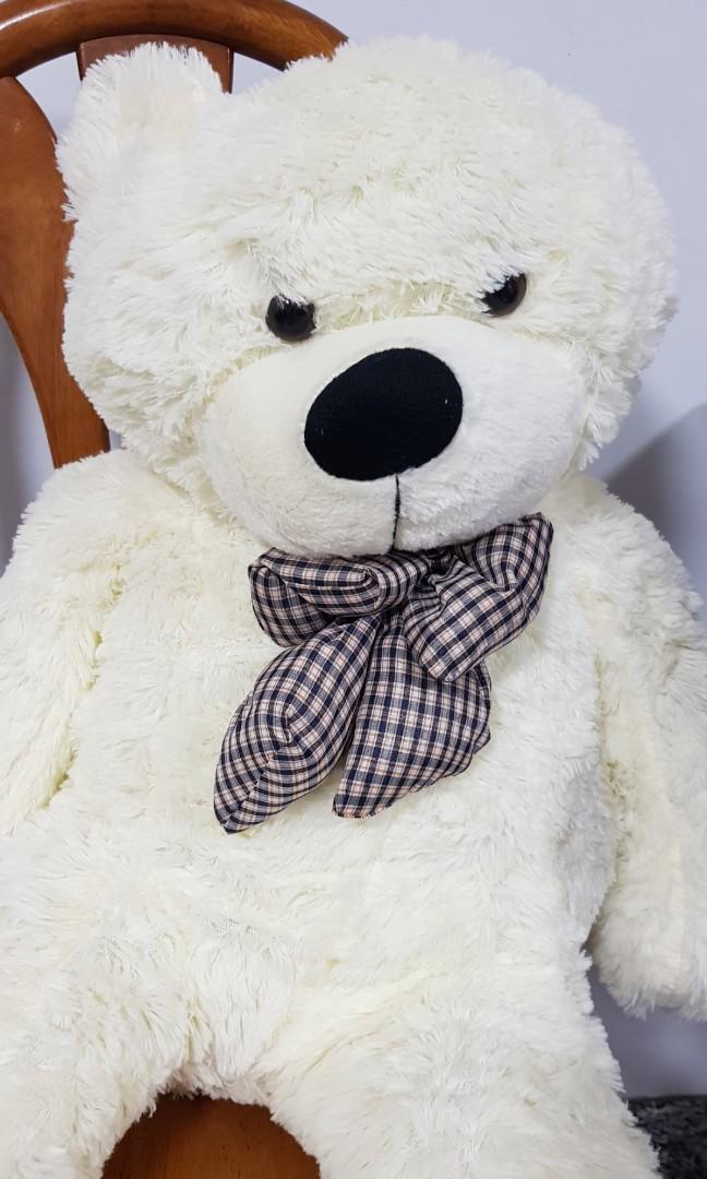 Cheapest teddy shop bear