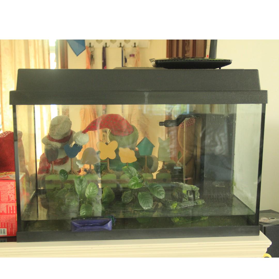 Juwel Aquarium Big Fish Tank W Auto Feeder Pets Supplies Pet
