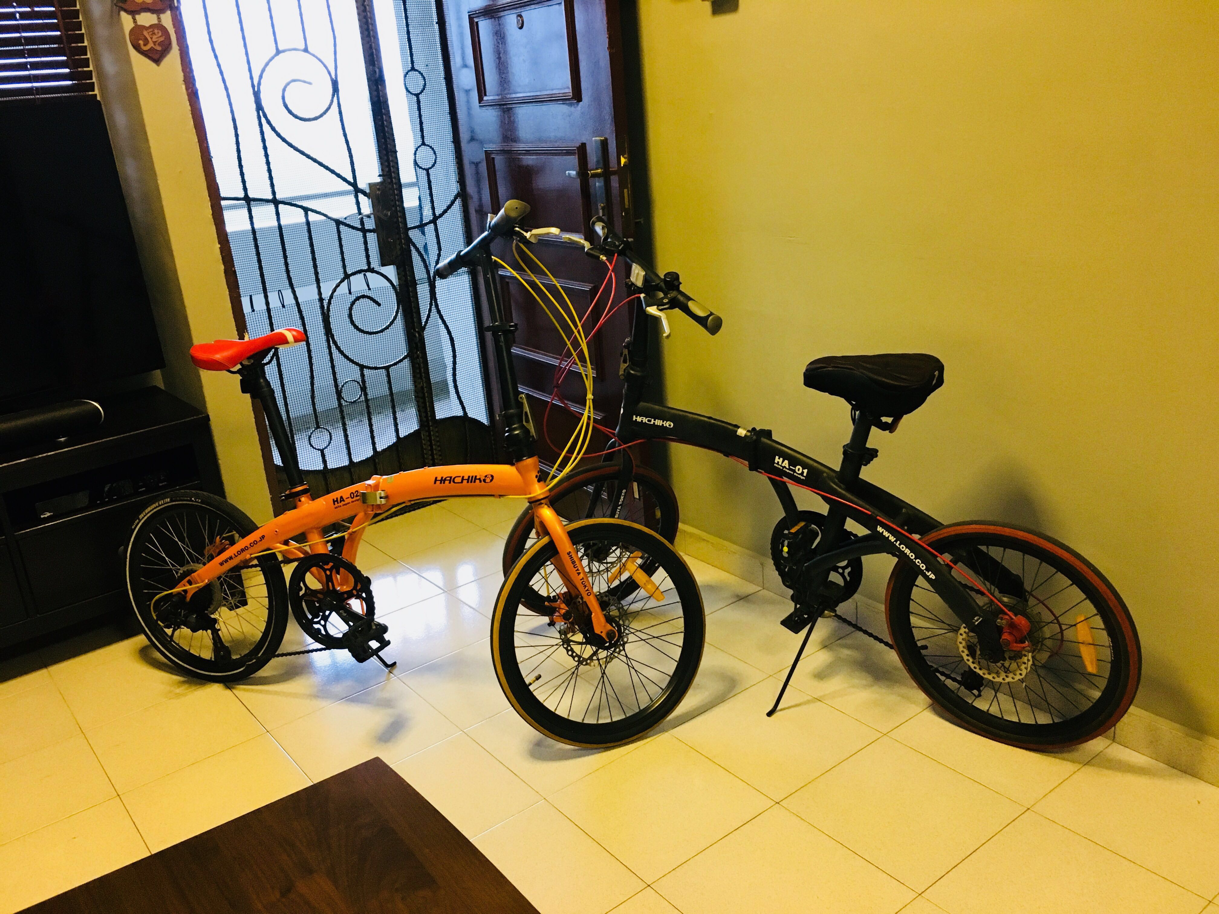Foldable bike, Sports Equipment, Bicycles & Parts, Bicycles on Carousell