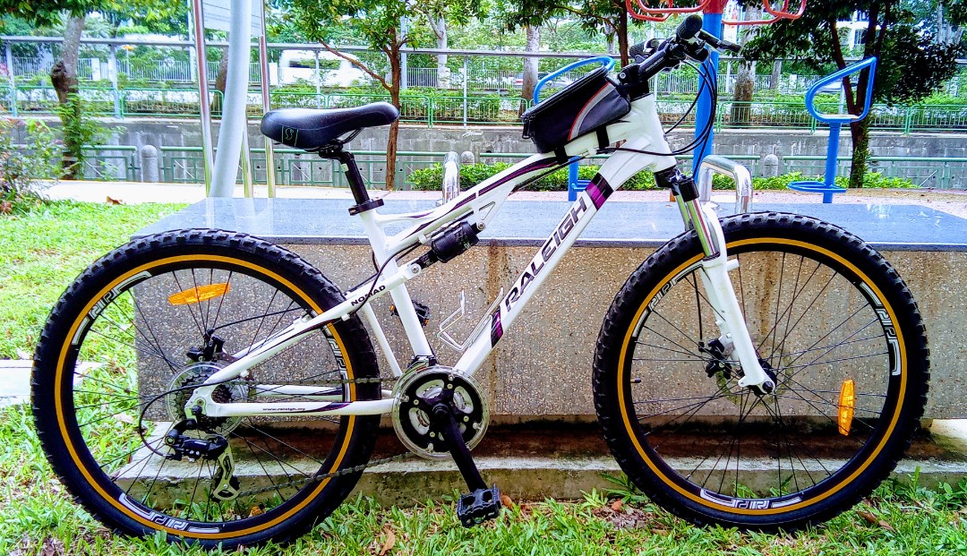Raleigh nomad price new arrivals