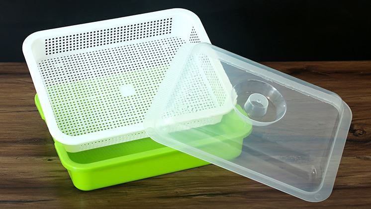 Soilless Bean Sprouts Seedlings Planting Tray Hydroponic