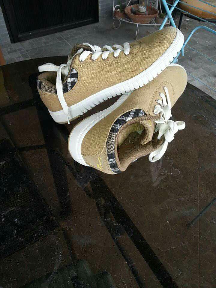 lebron crocodile shoes