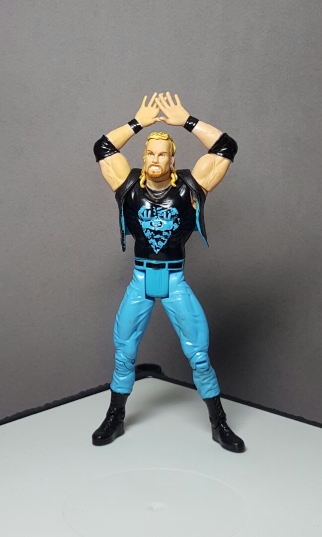 Details about   1999 Toy Biz Bruisers WCW Wrestlers Diamond Dallas Page Figure 