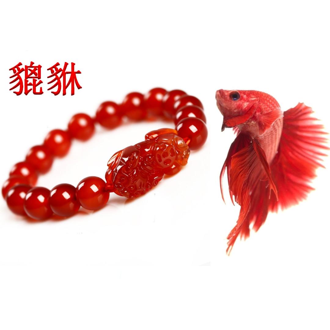 Tian lu bracelet hot sale