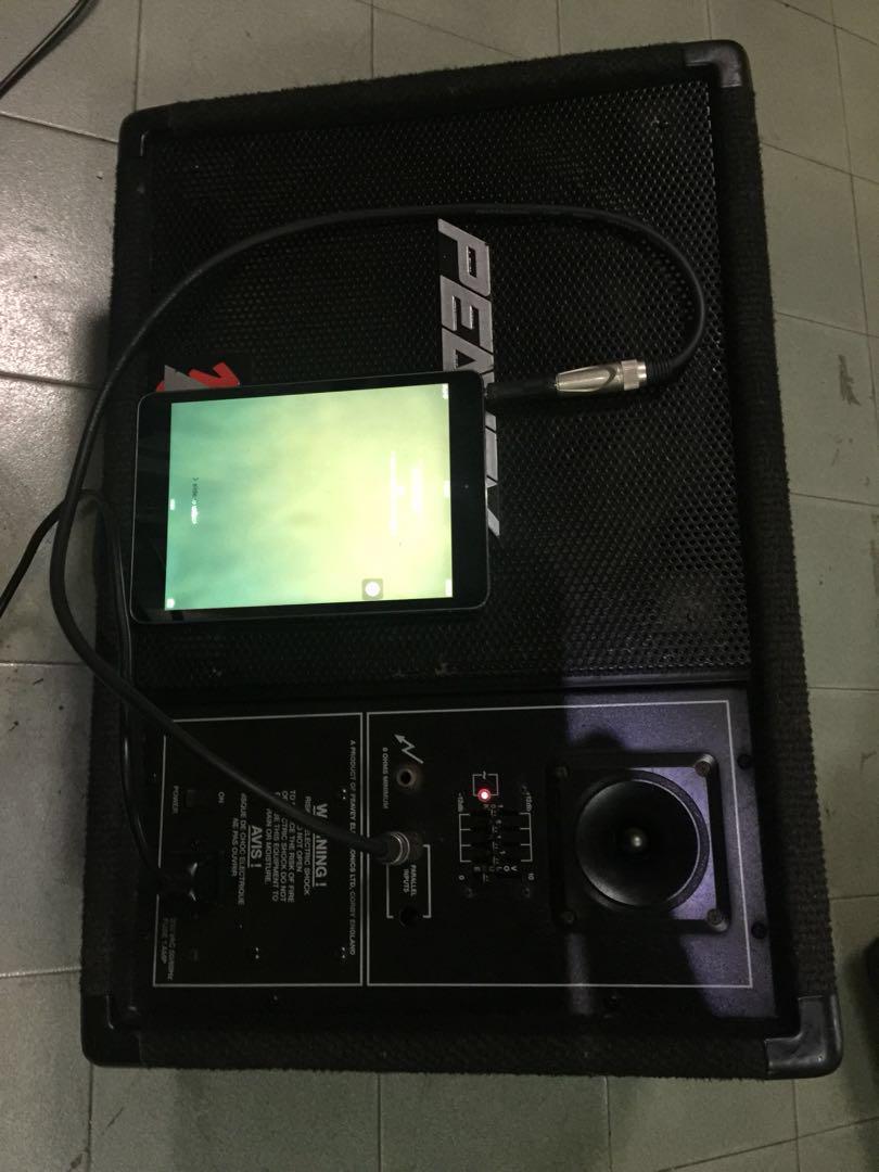 peavey powered monitor