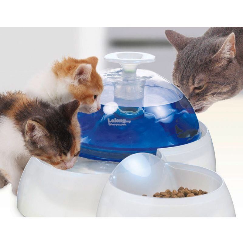 Catit Water fountain, Pet Supplies, Homes & Other Pet Accessories on