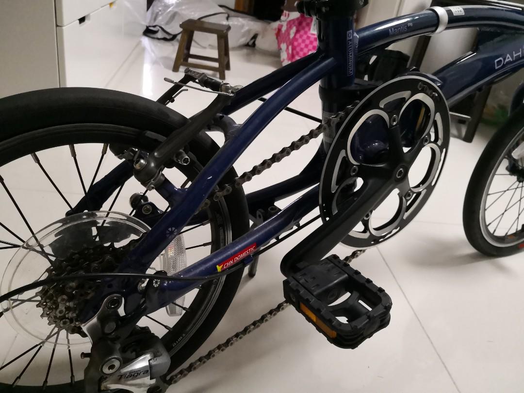Dahon mantis p8 16