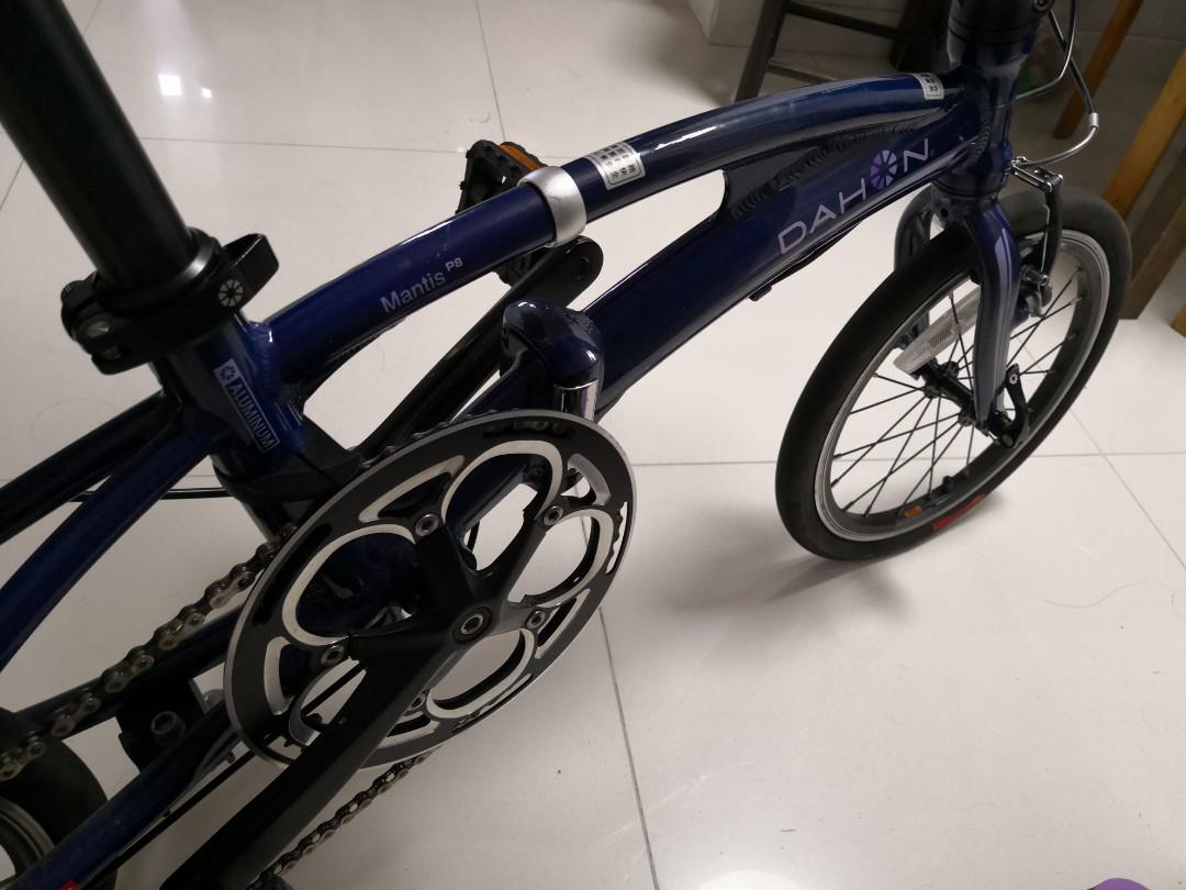 Dahon mantis store p8