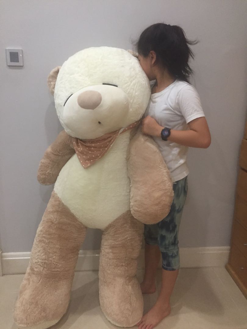 kaison teddy bear price