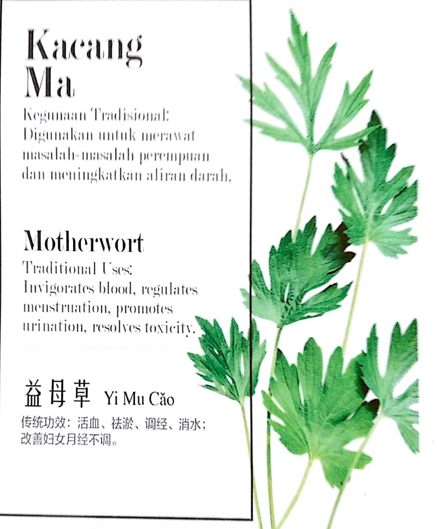 Herbeco Herb Tea Bag Everything Else Others On Carousell