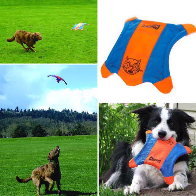 chuckit flying squirrel