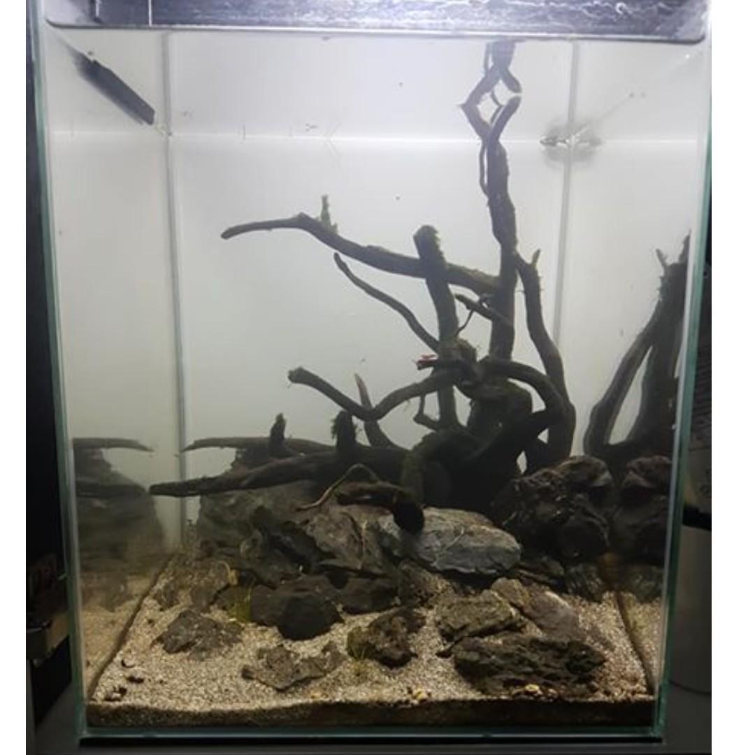 30*30*36cm Fish Tank for sale, Pet Supplies, Homes & Other Pet Accessories  on Carousell