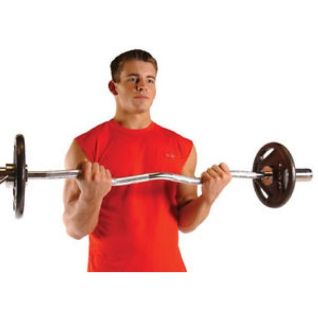 Ez Barbell Curl