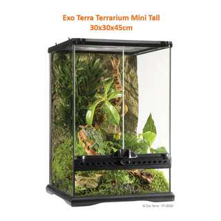 exo terra terrarium pet supplies carousell singapore