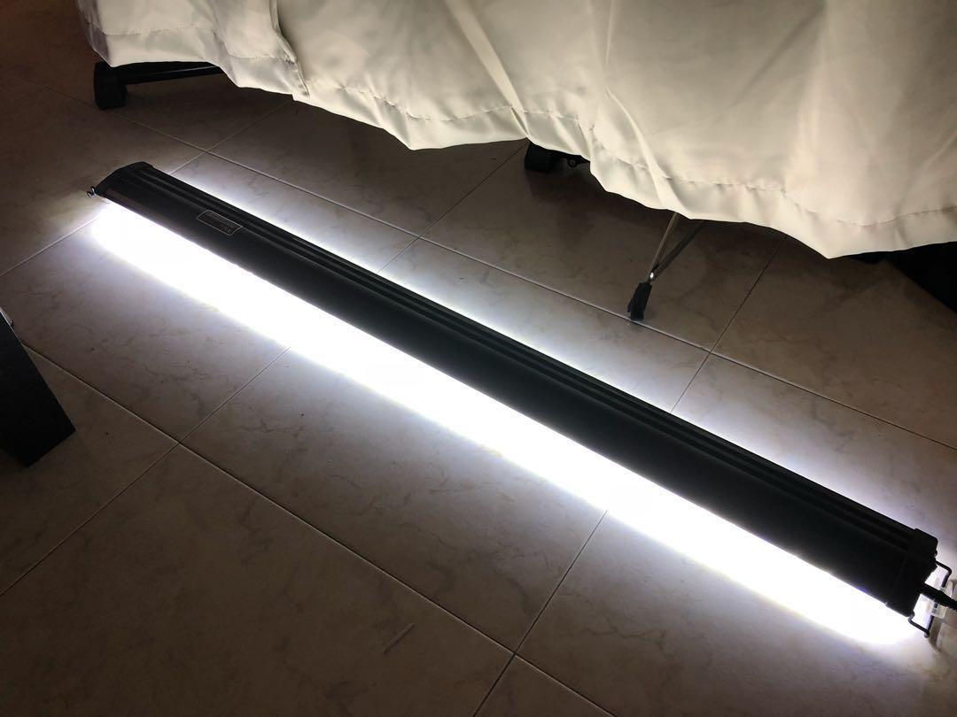 4ft RS Electrical LED light (white and blue light), Pet Supplies, Homes