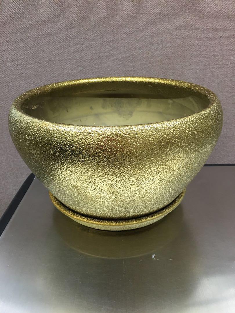 金色瓦花盆 傢俬 家居 園藝 盆栽 Carousell 金色瓦花盆 傢俬 家居 園藝 盆栽 Carousell
