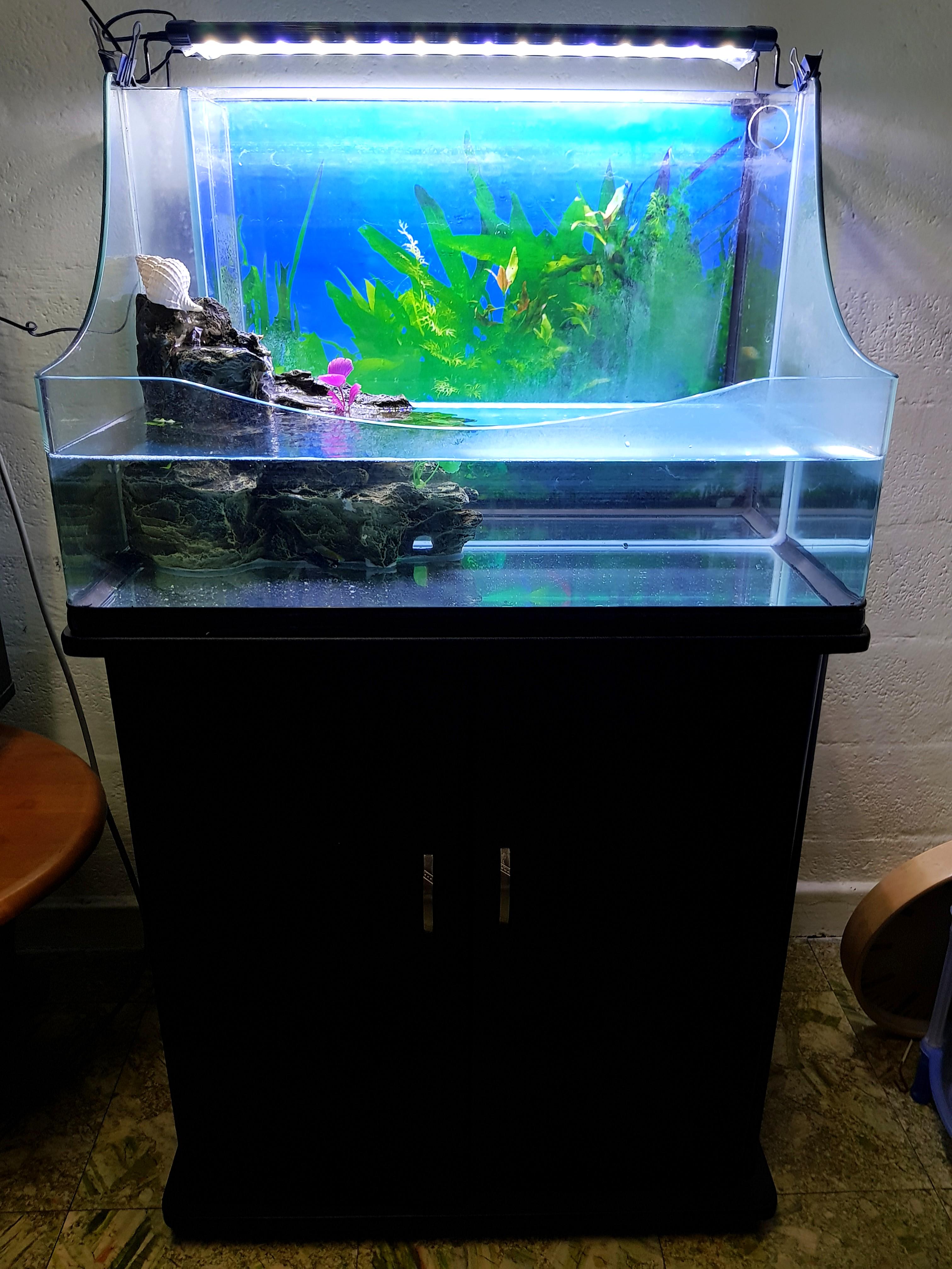 tortoise aquarium tank