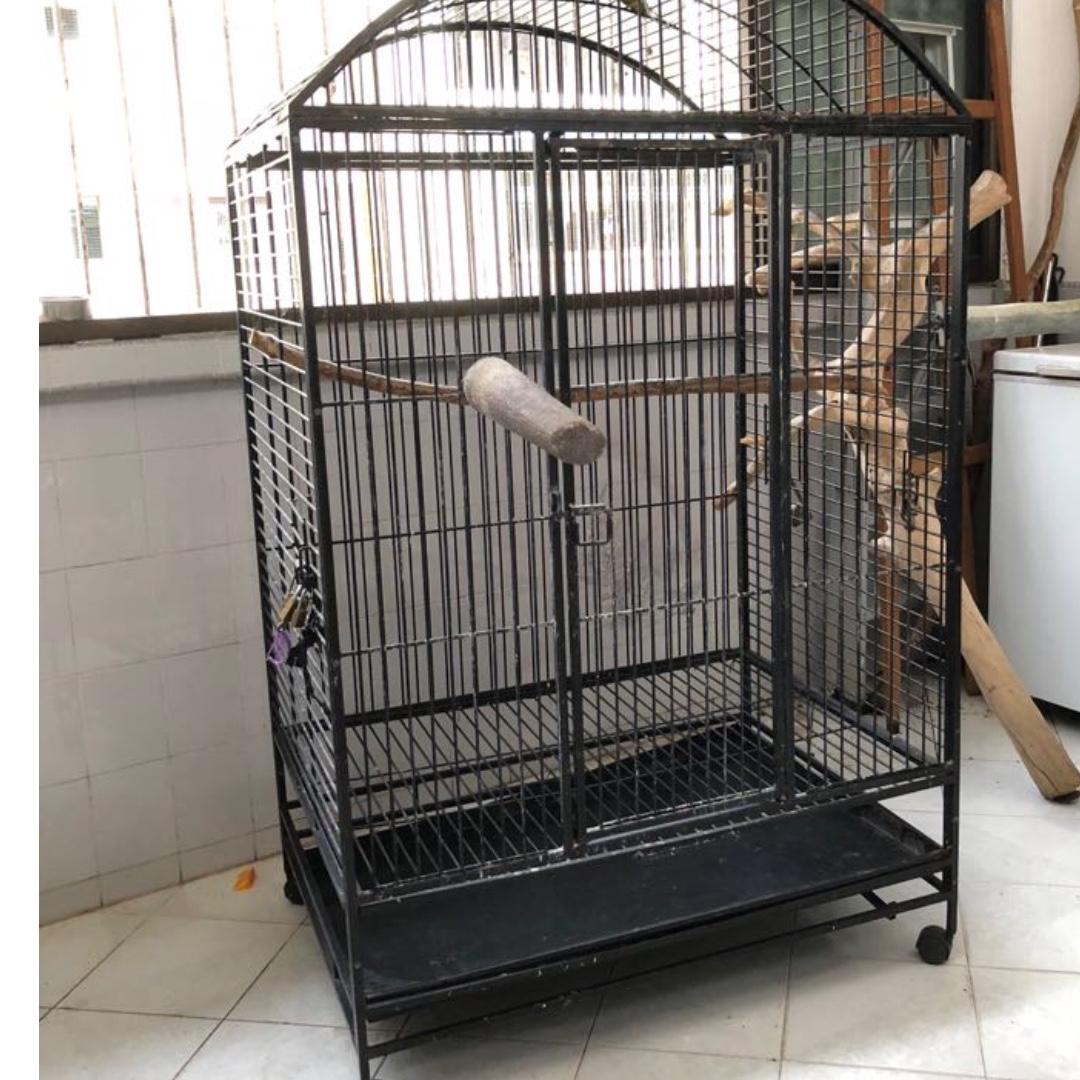 huge parrot cage