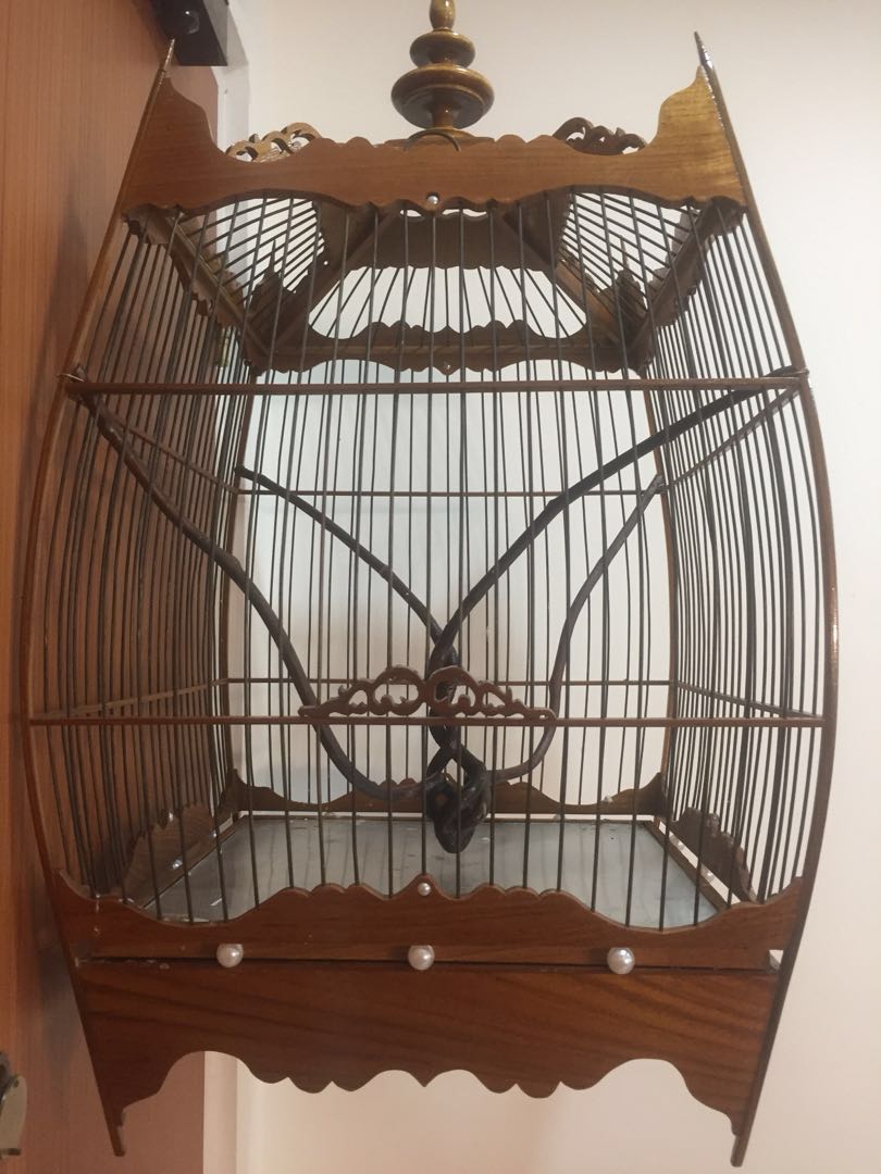 Jambul Ah Kow Square Cage Pet Supplies Homes Other Pet Accessories On Carousell