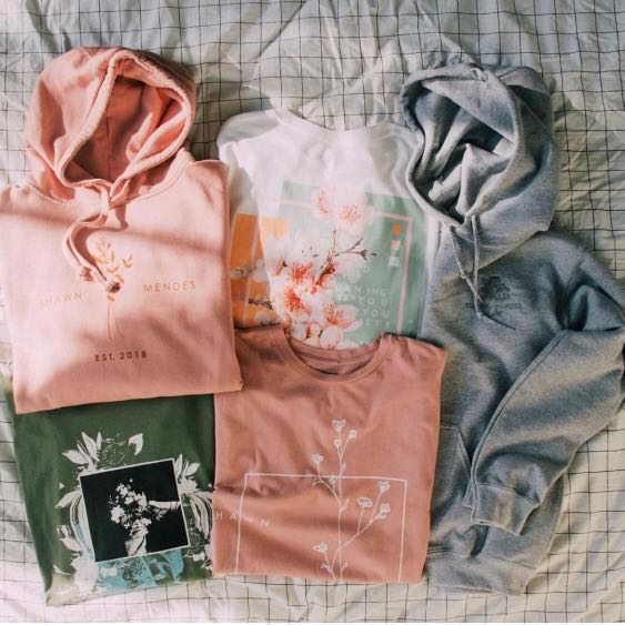 Shawn mendes urban outfitters hoodie