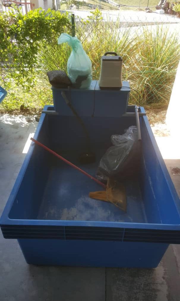 Fish Prawn Tanks Tong Ikan Udang Complete Sets Pet Supplies Pet Accessories On Carousell