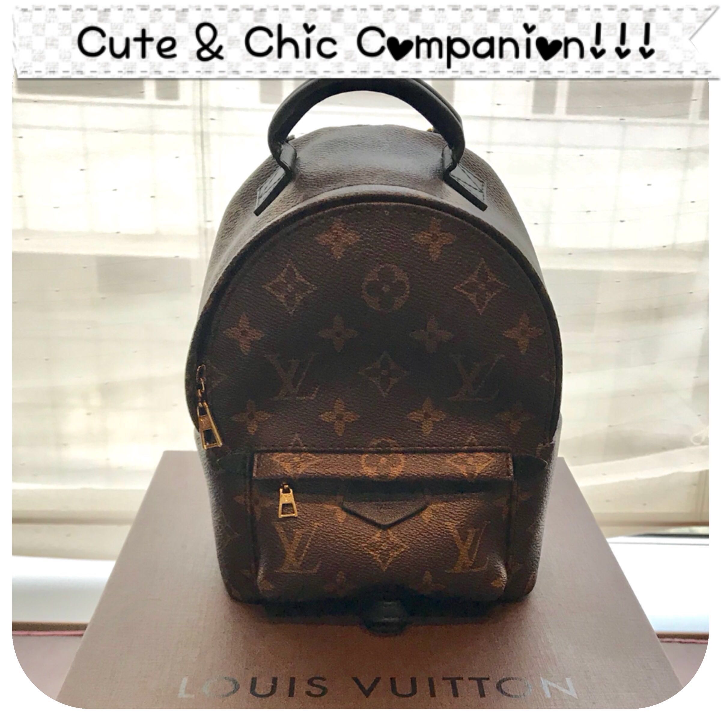 Louis Vuitton Mini Palm Spring Backpack, Luxury, Bags & Wallets on Carousell