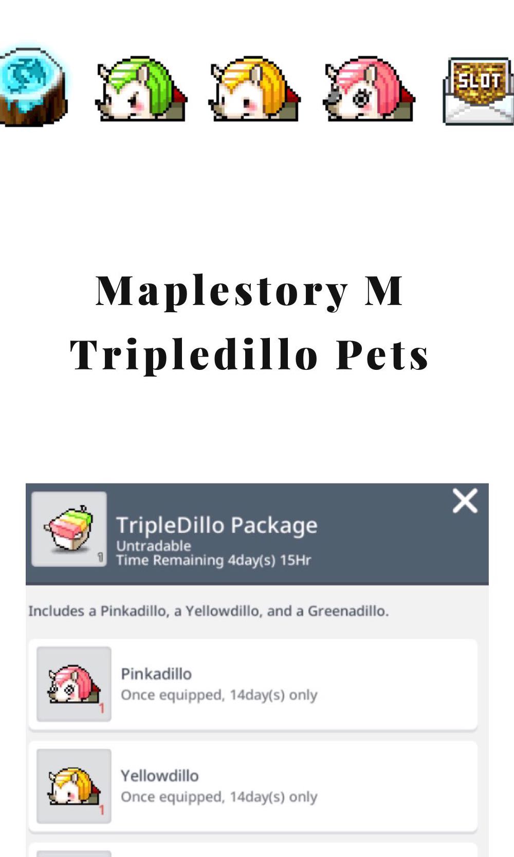 Maplestory M PET PACKAGE, Video Gaming, Gaming Accessories, Game Gift