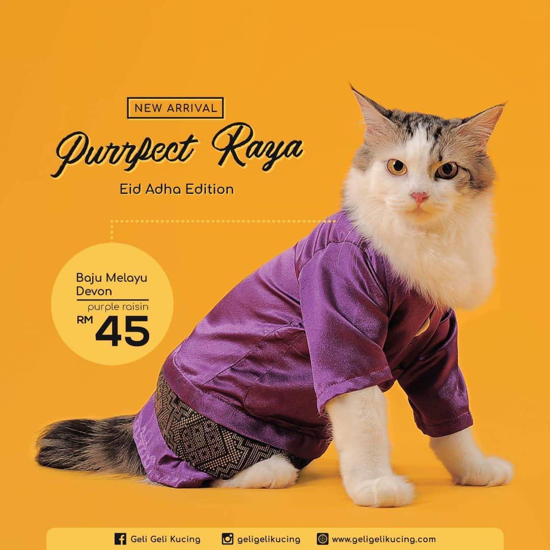 KEDAI BELI PASIR KUCING SELAYNG