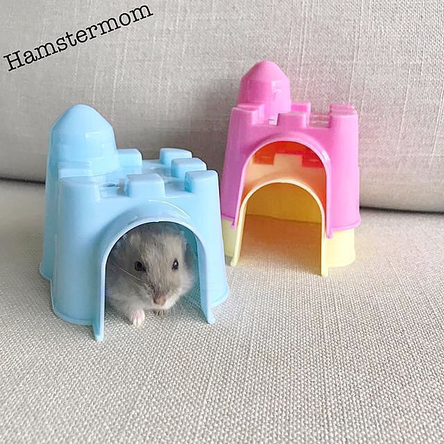 hamster castle