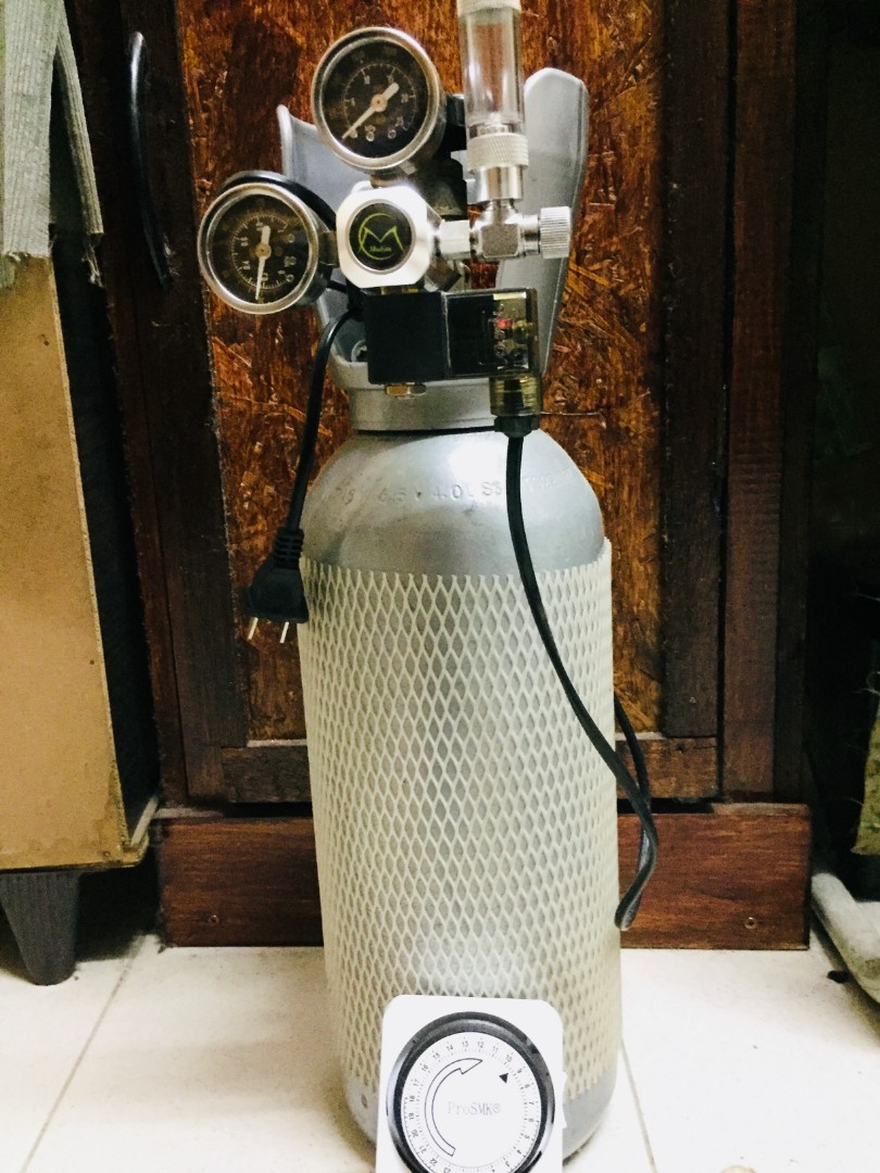Co2 Untuk Aquascape Mencari Di Carousell