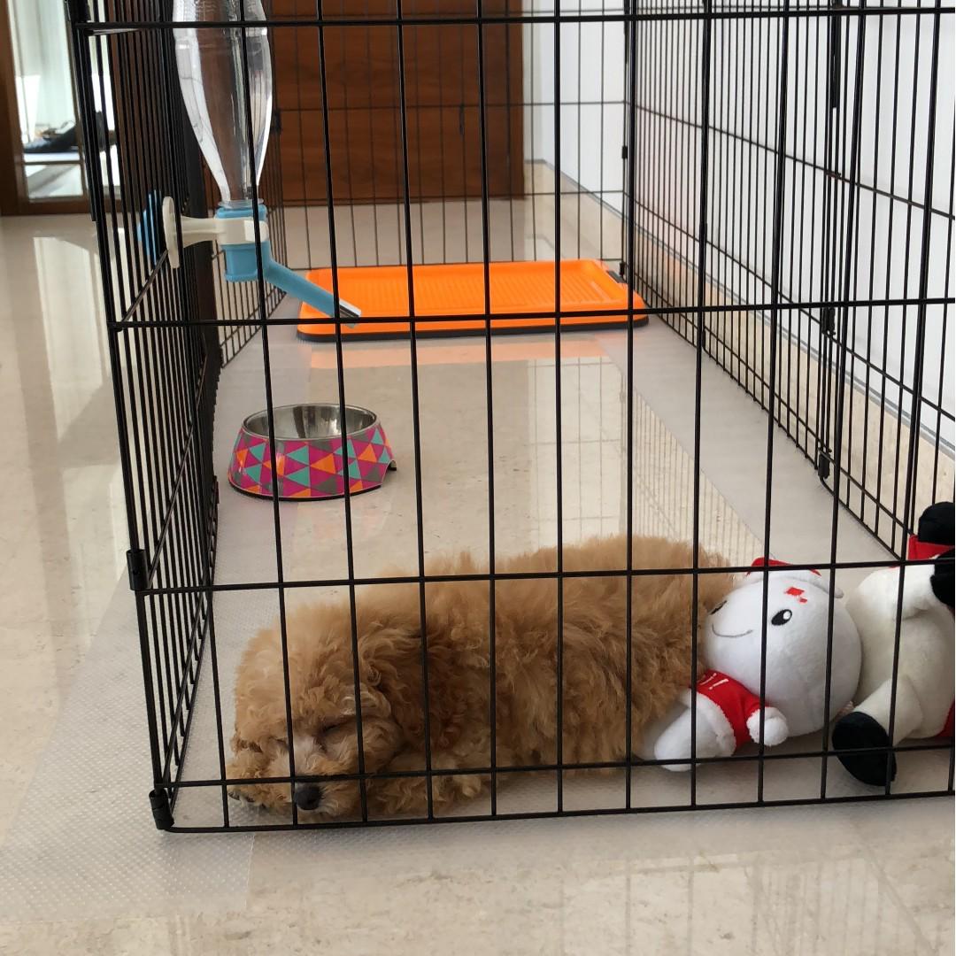Dogit playpen shop