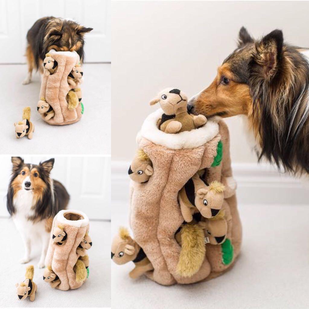 Outward hound hide a squirrel puzzle dog toy hotsell