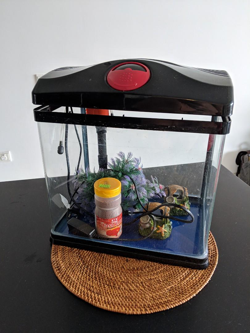 Small Fish Tank With Accessories Pet Supplies For Fish Fish