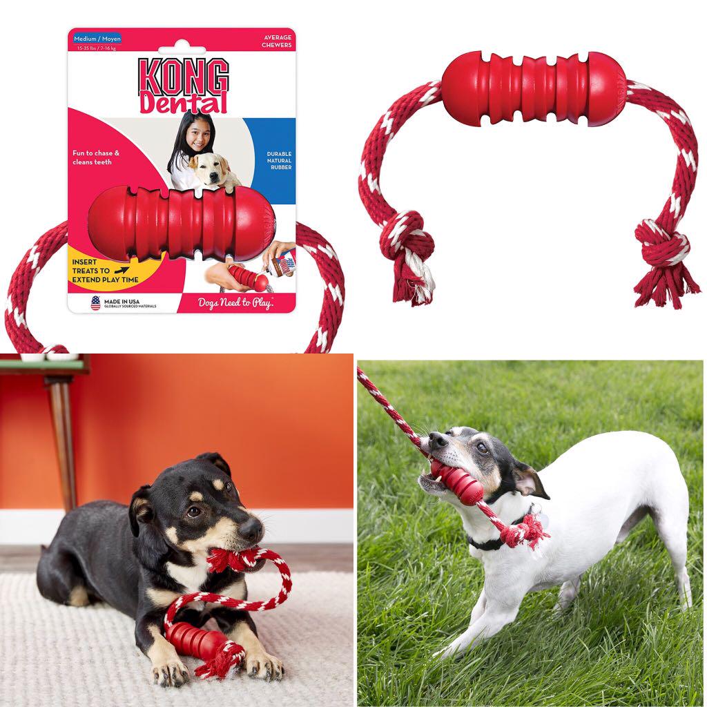 What Are Healthy Chew Toys For Dogs Wow Blog