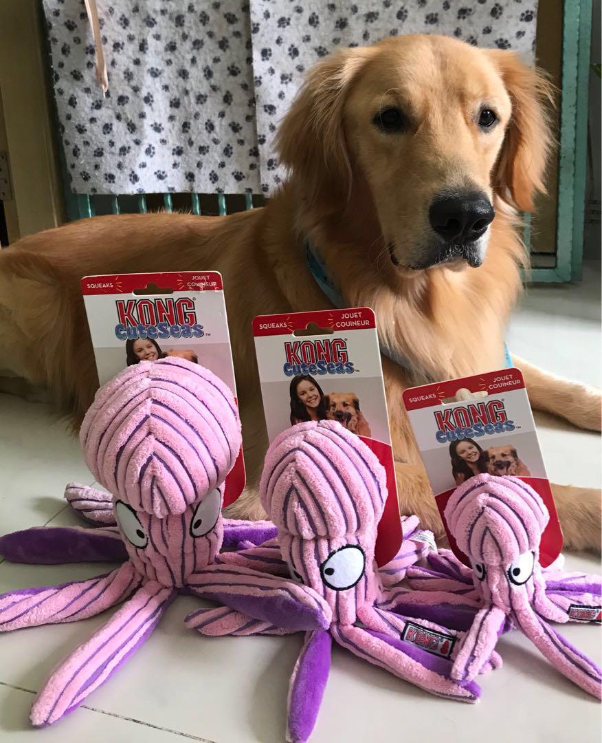 Kong clearance cuteseas octopus