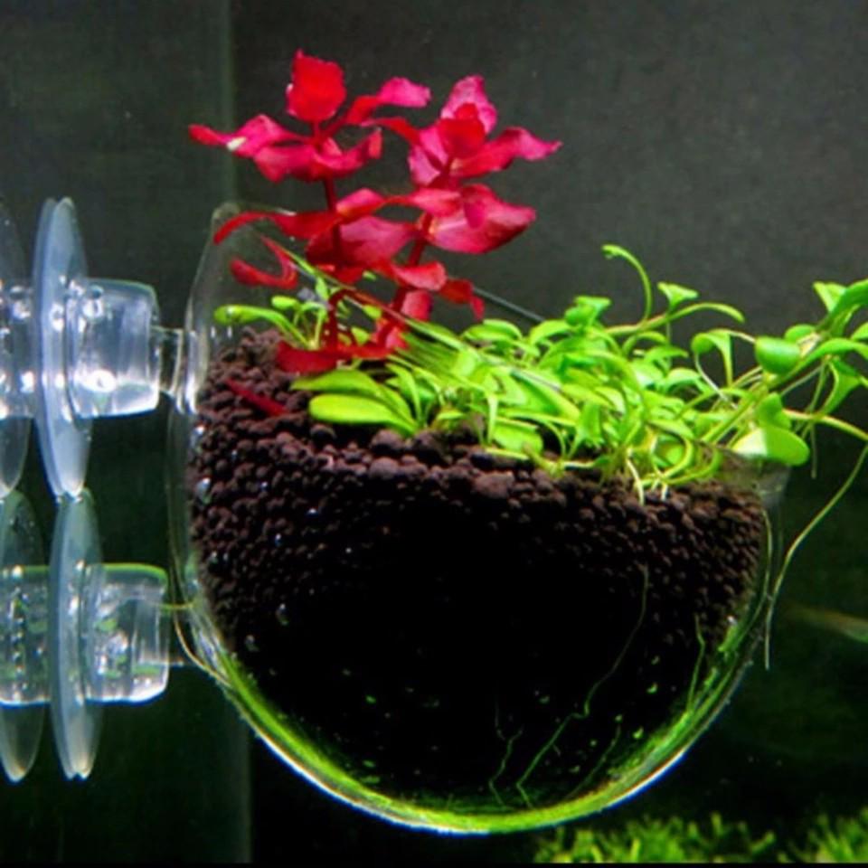 High Quality Aquarium Decoration Fish Tank Mini Crystal Glass Pot