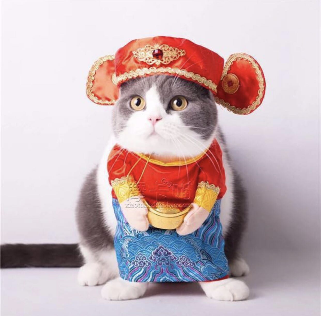 Dog Chinese New Year Costume - malayopop